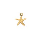 Small starfish charm