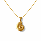 Sea shell Necklace | Gold