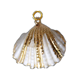 Shell charm